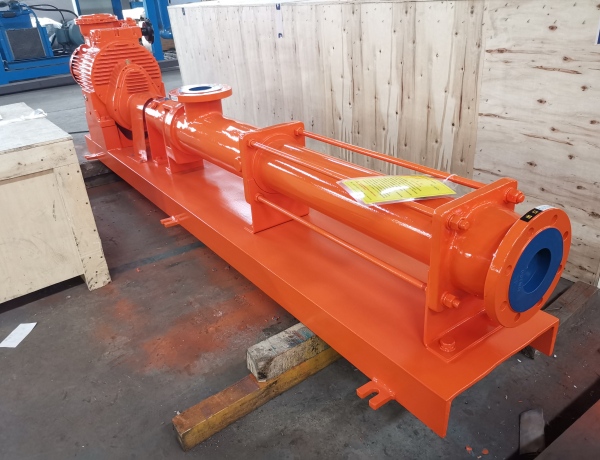 Centrifugal feed pump export to Africa Gabon oil service company